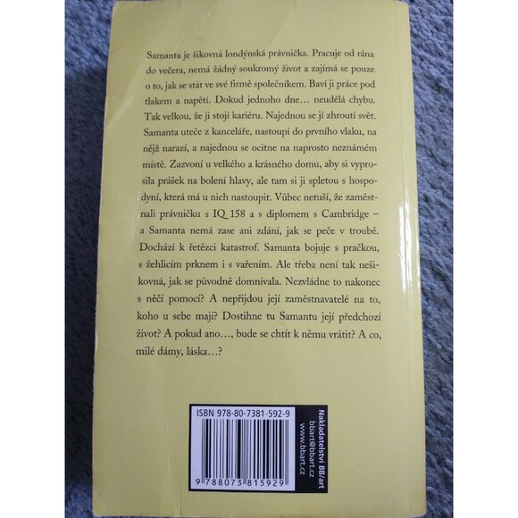 CZECH BOOK:  Bohyně v domácnosti - Picture 2 of 3